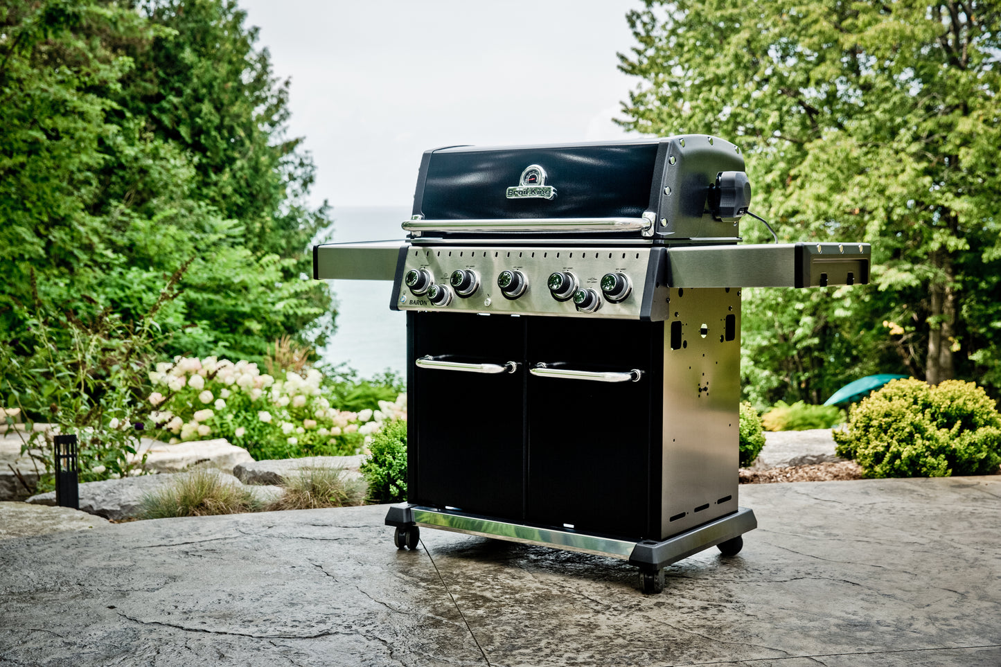 Baron™ 590