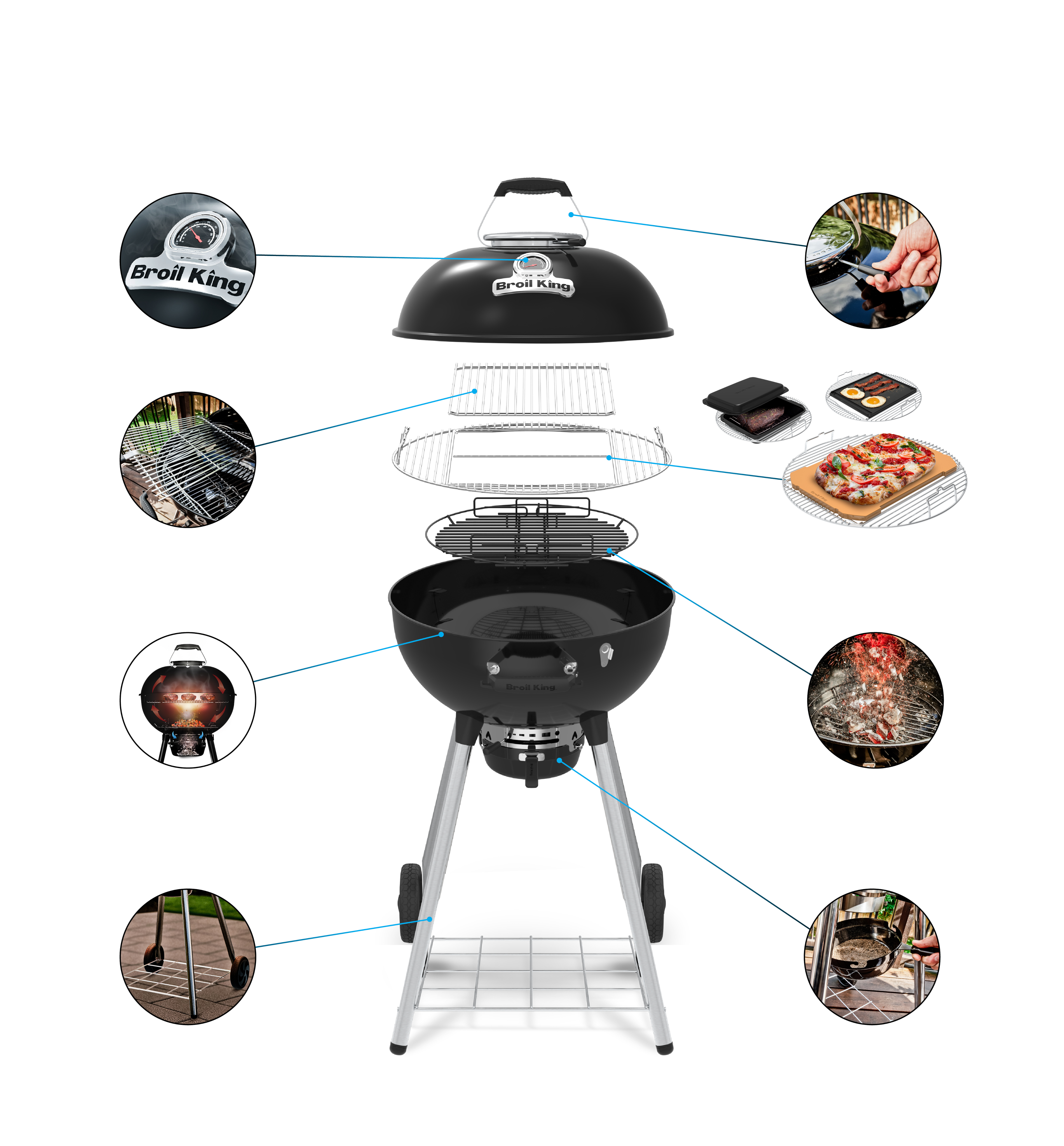 Grill Anatomy Image