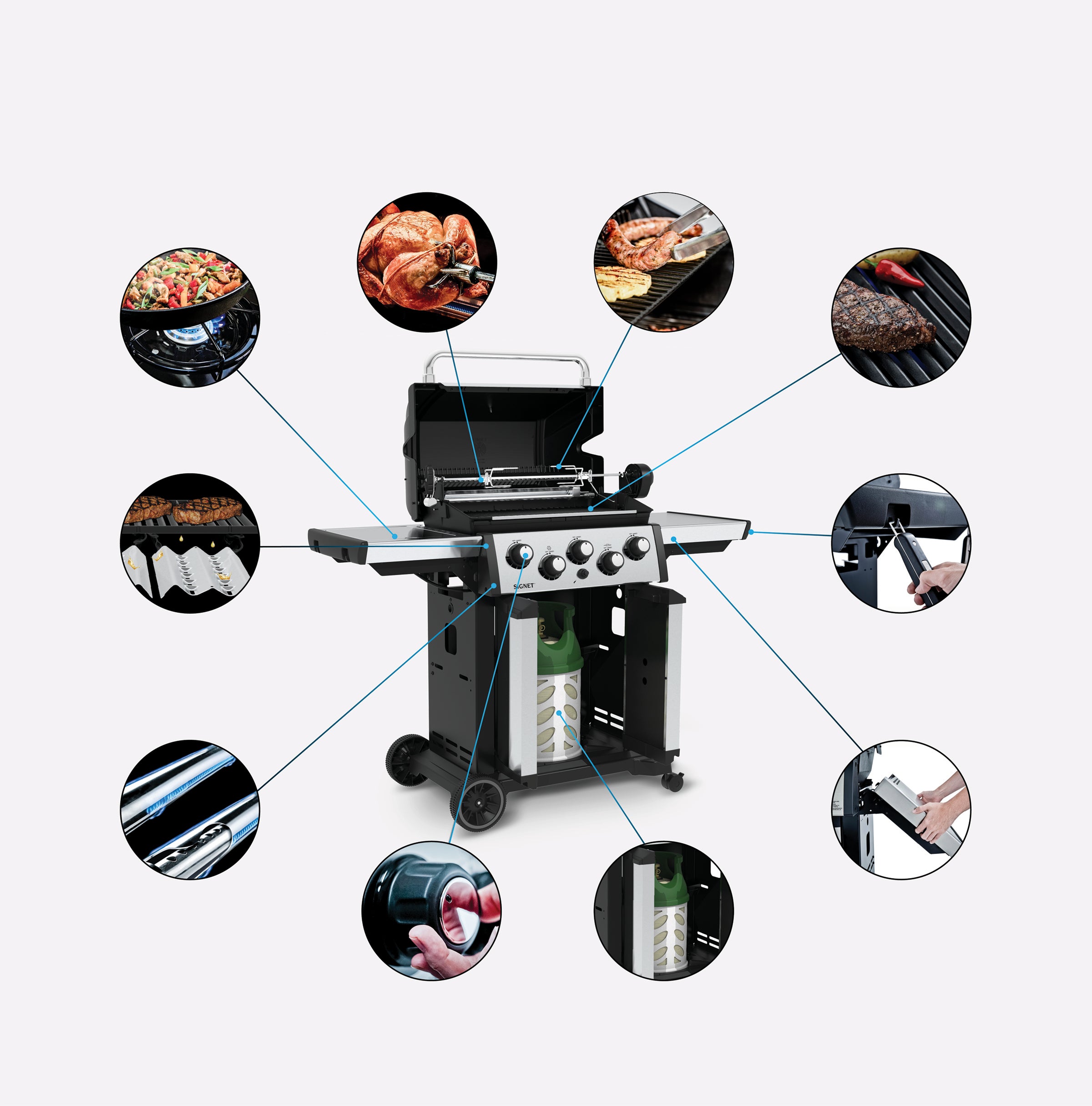 Grill Anatomy Image